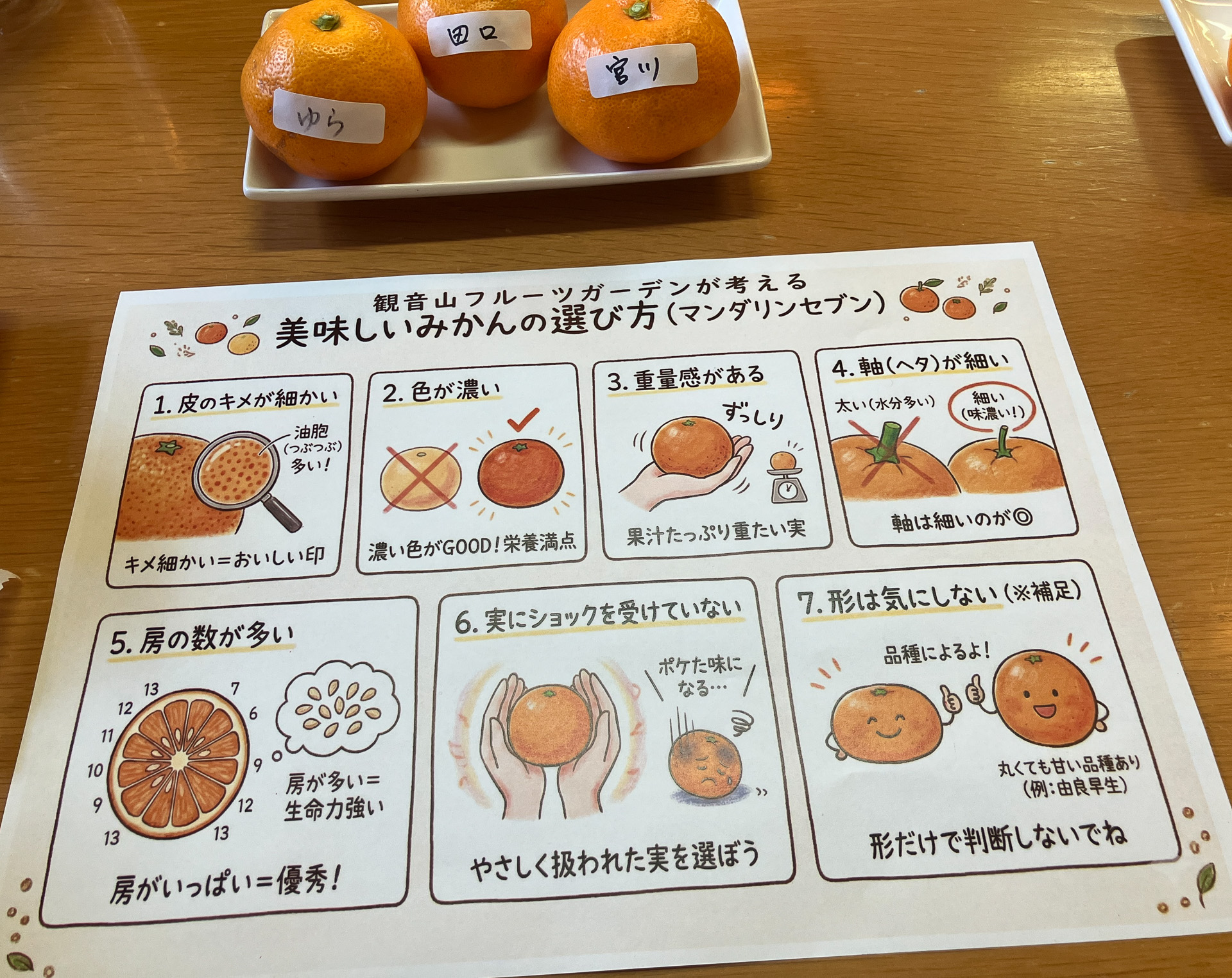 美味しいみかんの選び方セミナー資料