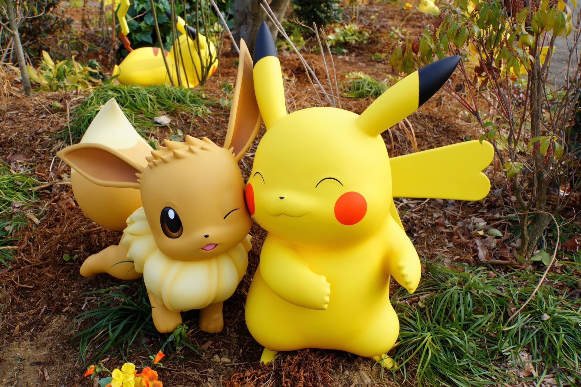 野生のポケモンたちを観察できる「ポケモンフォレスト」を紹介