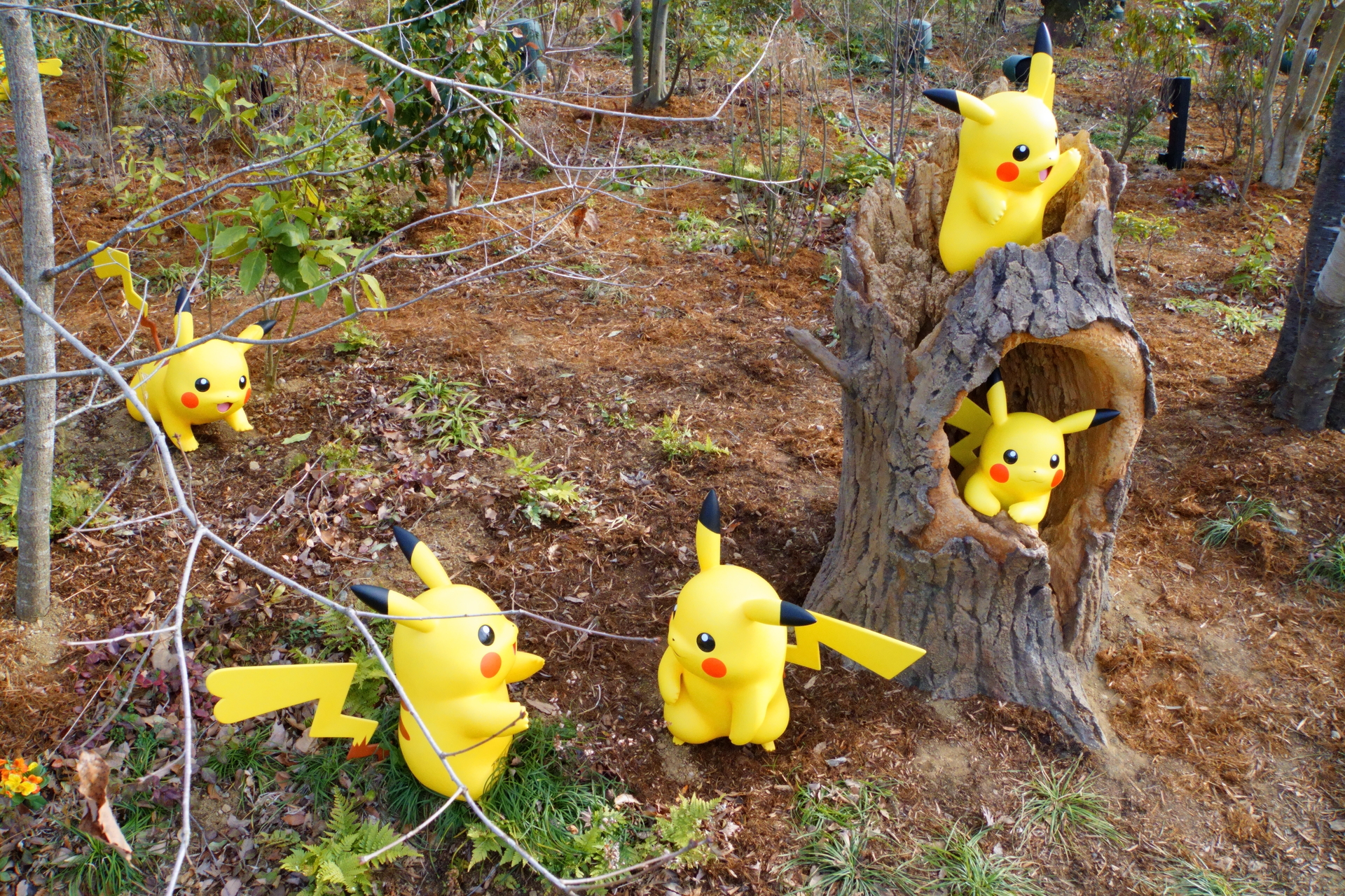 ピカチュウとイーブイのもり