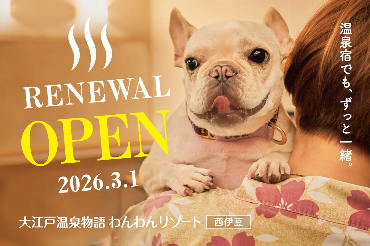 「わんわんリゾート」が西伊豆に開業