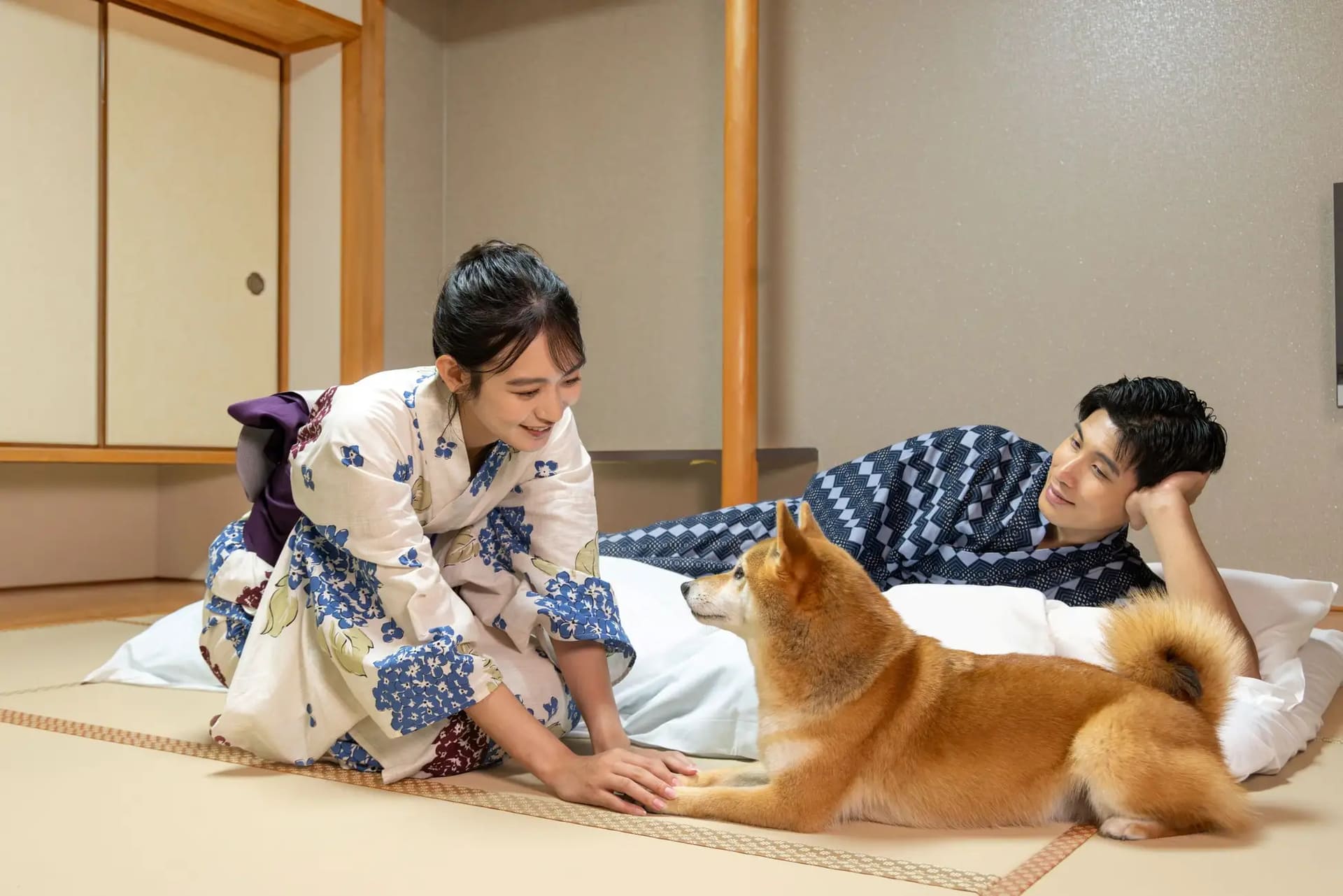 犬に優しい材質の内装に