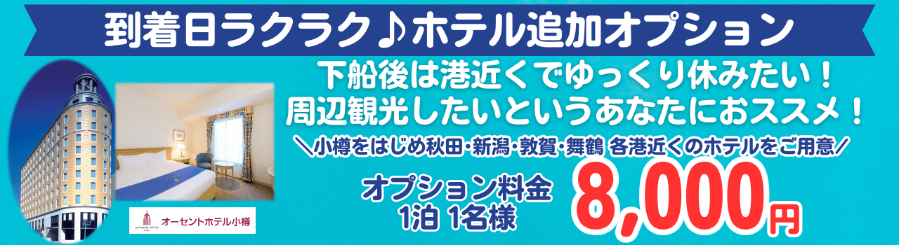 ホテルオプションも