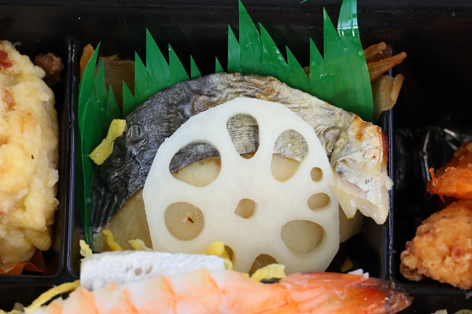 鰆の白醤油焼き＋れんこんの酢漬け。バランの下にはゴボウ煮