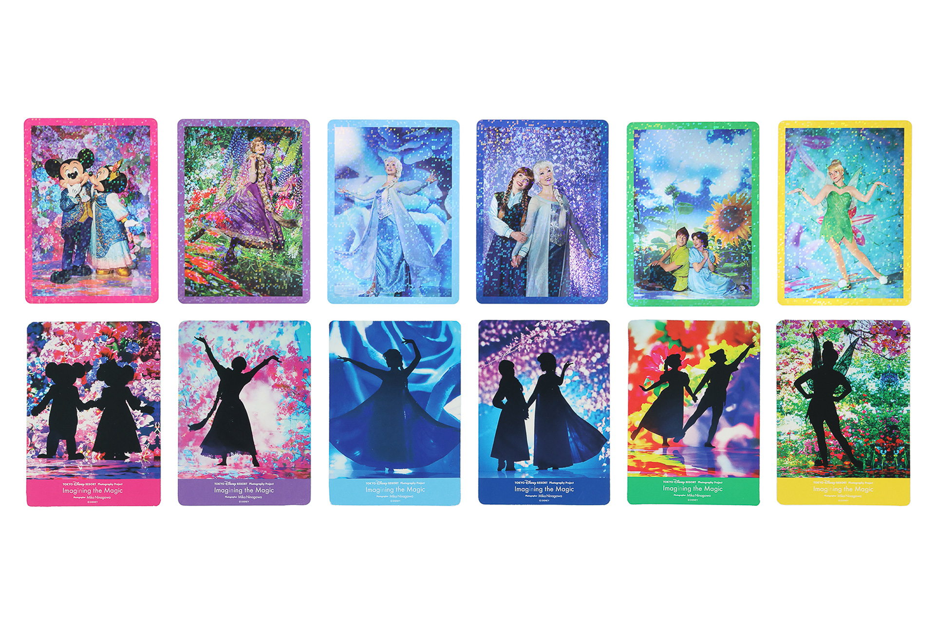 「コレクションカード」（800円）