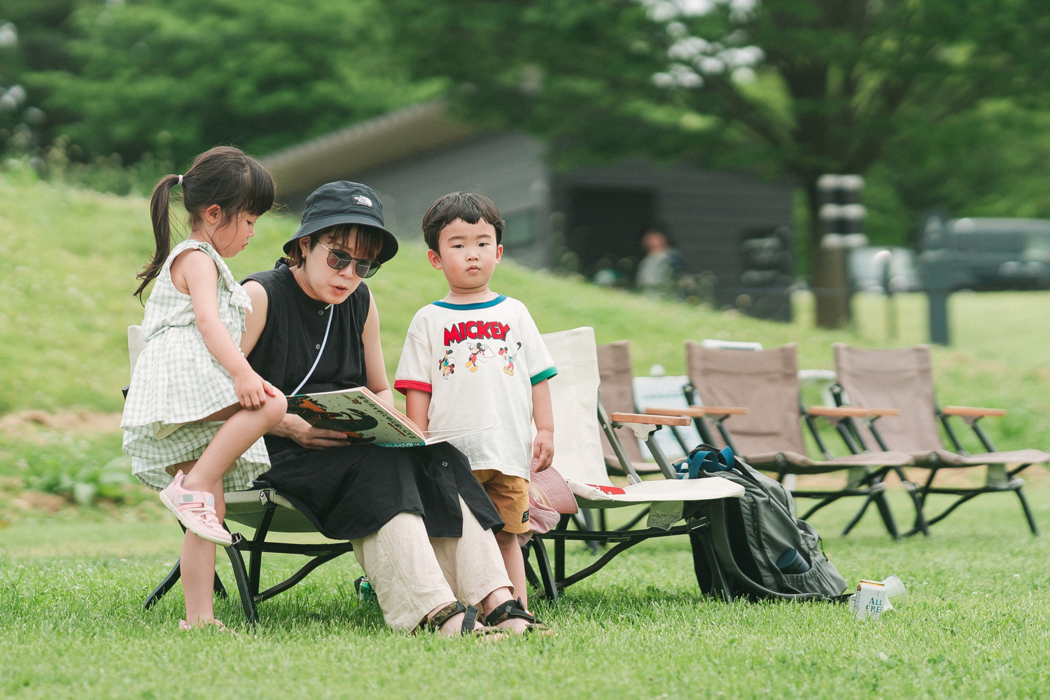 自然を感じながら読書を楽しめる「野と歴史をつなぐライブラリー」を設置
