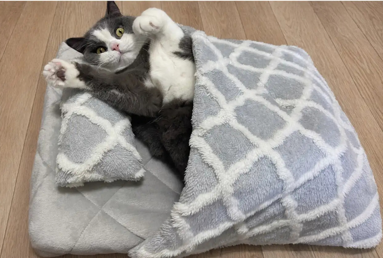 人間の布団のように使える