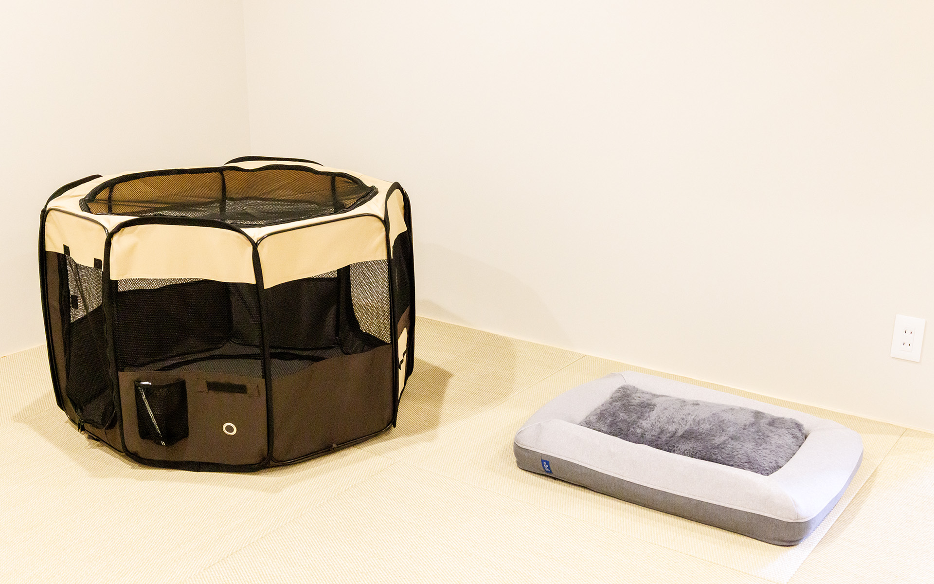 室内にはケージやベッドを用意。畳は滑りにくく耐水性、耐久性のある専用タイプを採用