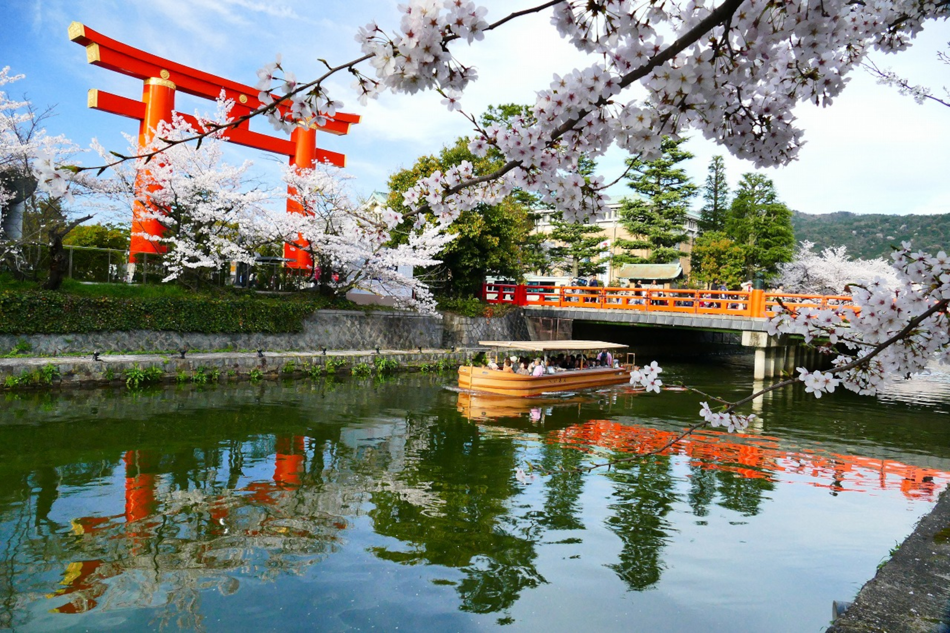 琵琶湖疏水沿いの桜を楽しめる