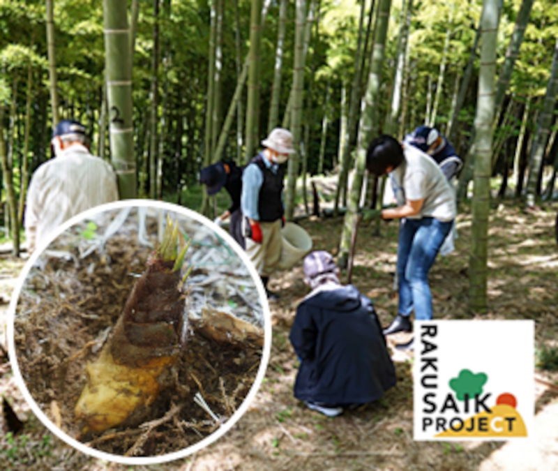 たけのこ掘りのイメージ