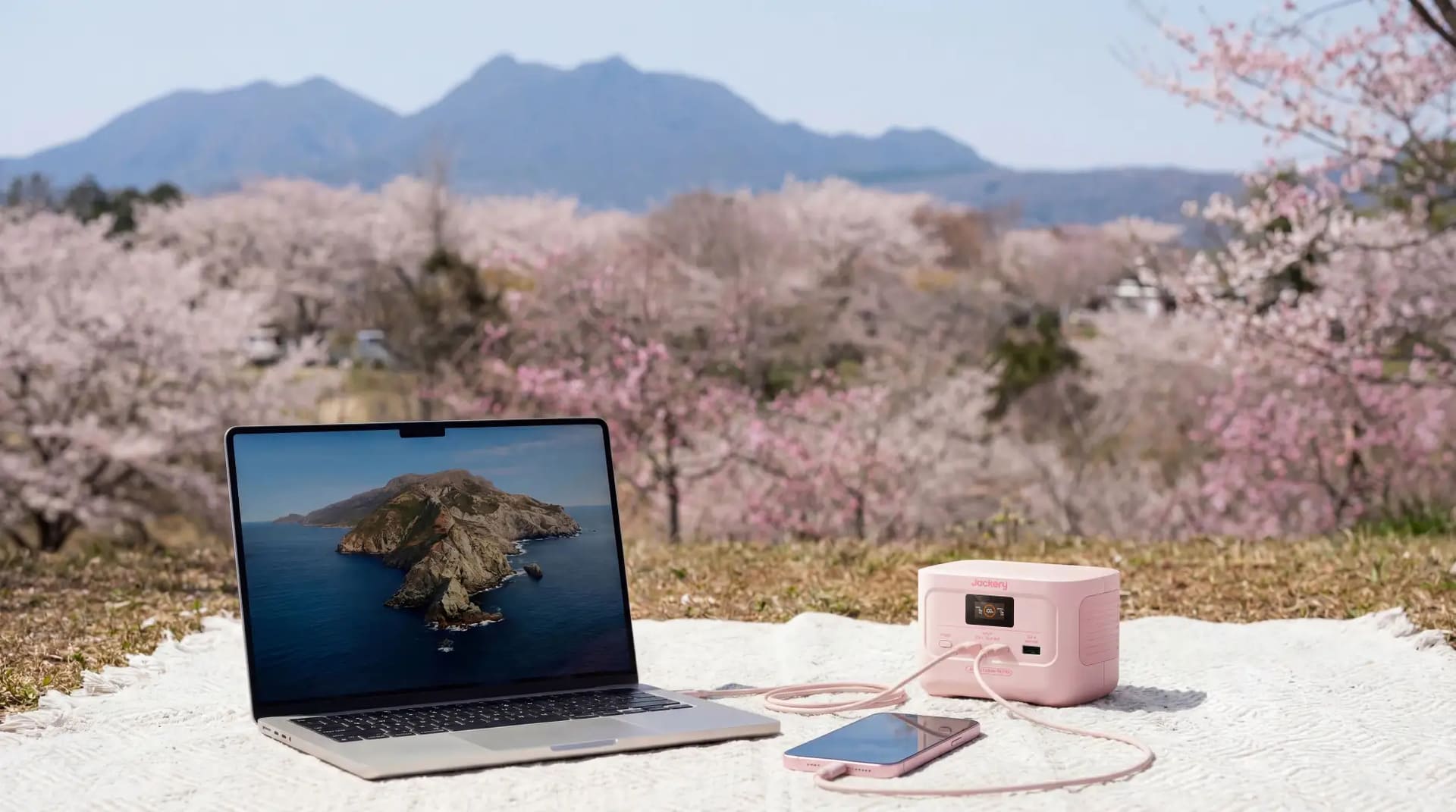 チェリーブロッサムは日本限定カラー