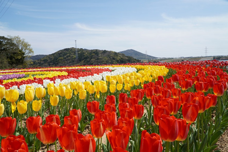 9位「芦ヶ池農業公園『サンテパルクたはら』」。遊ぶ・体験する・見る・食べるがそろう花と緑の公園