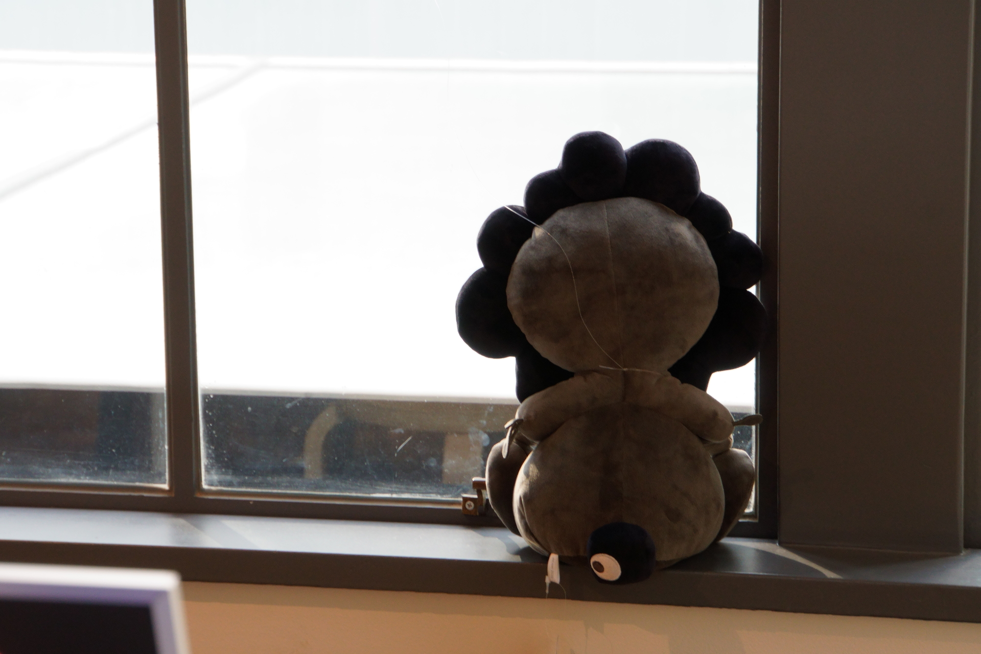 天井のボール装飾は、入っているミャクミャクがボールによって異なるとのこと