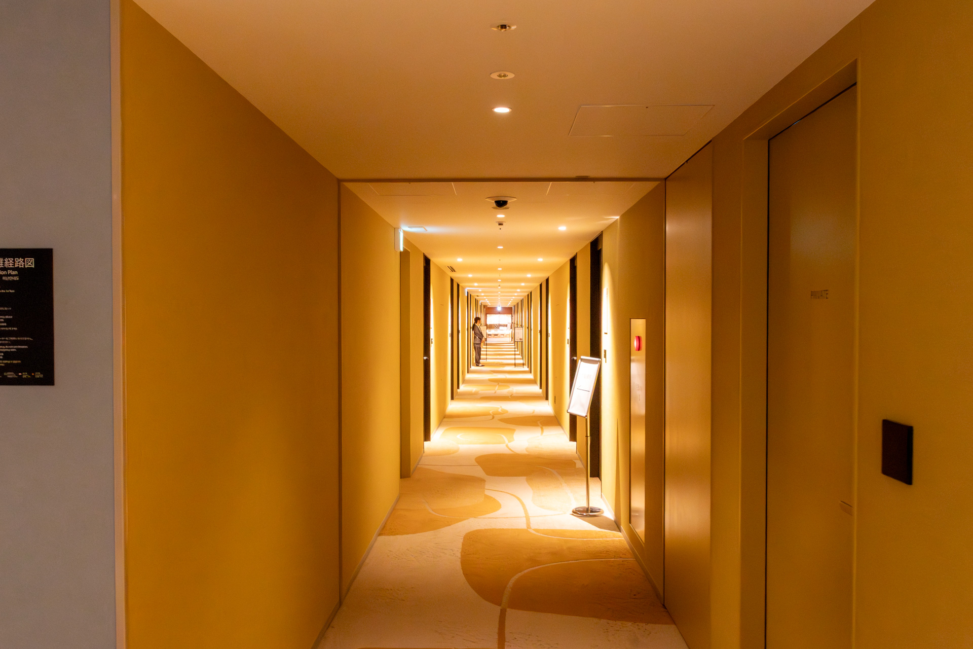 客室フロアの廊下はゾーンごとにカラーリングが異なる
