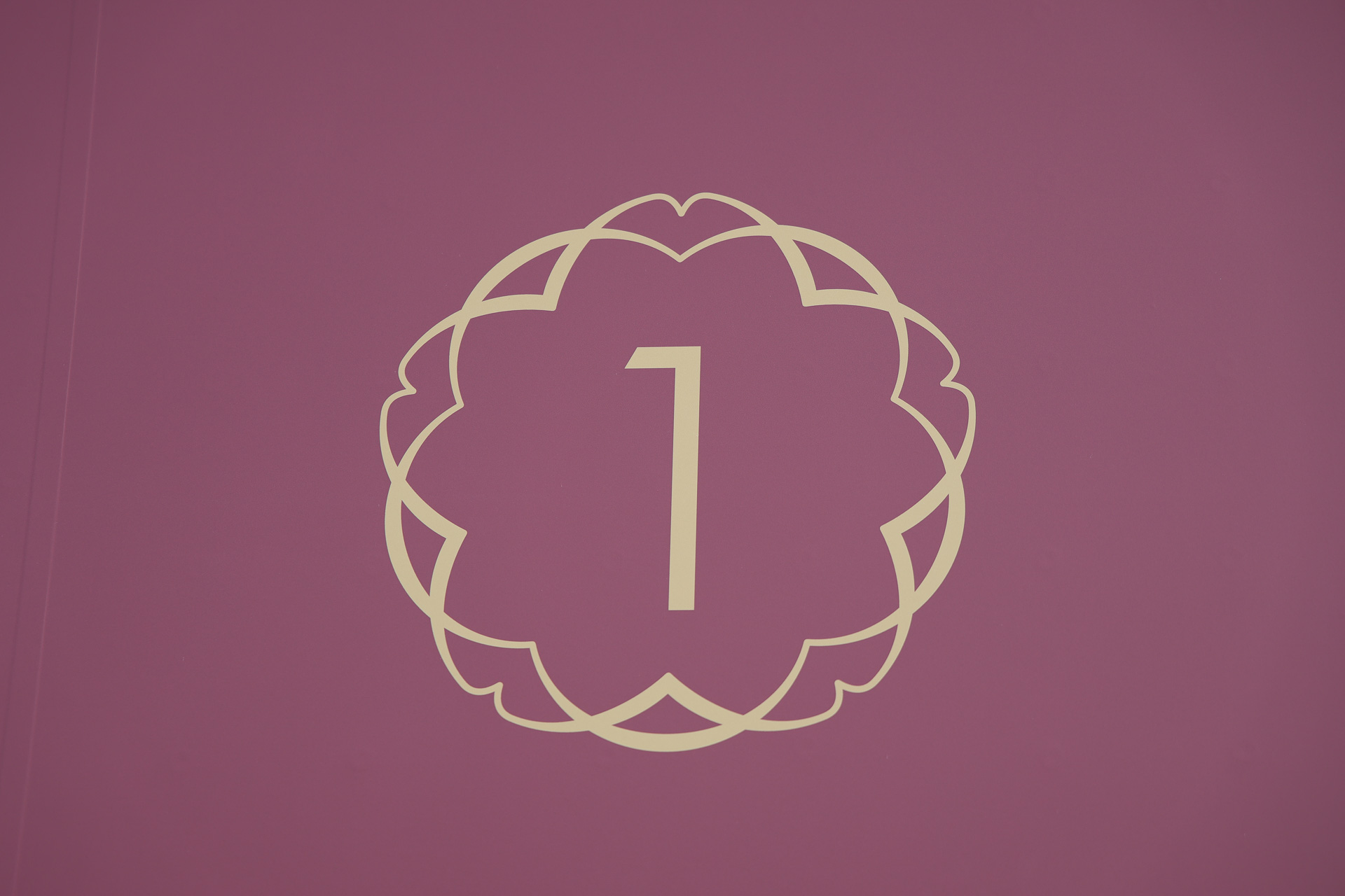 沿線にゆかりのある植物をモチーフにした装飾。号車番号には高野山のサクラ、車体側面に大きく描かれているのは仏教の吉祥文様であるカラクサ