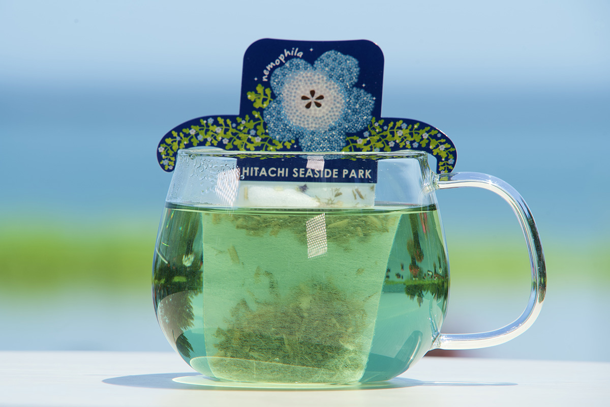 ネモフィラブルーティー HOT