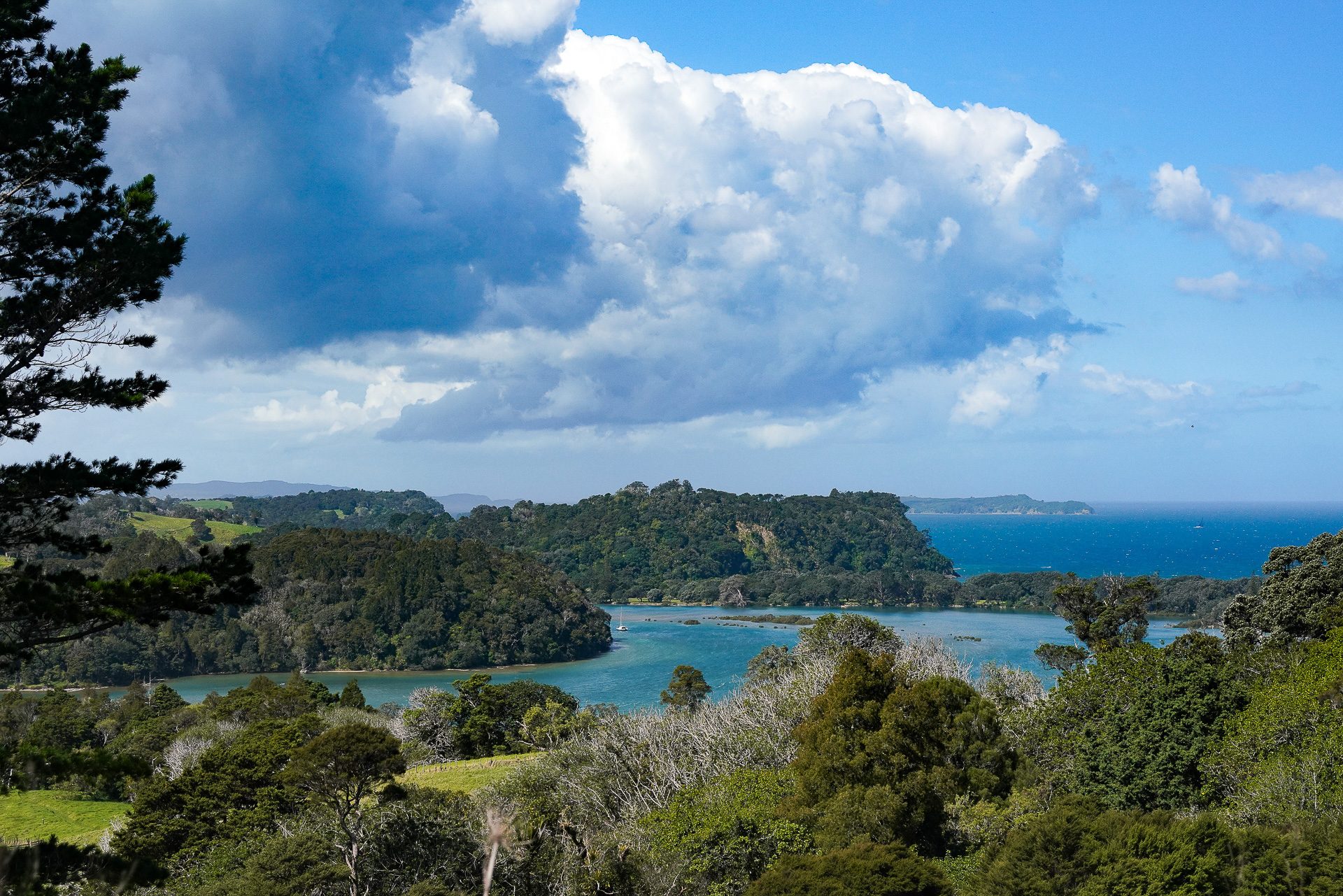 オークランド郊外の自然を巡ってきた