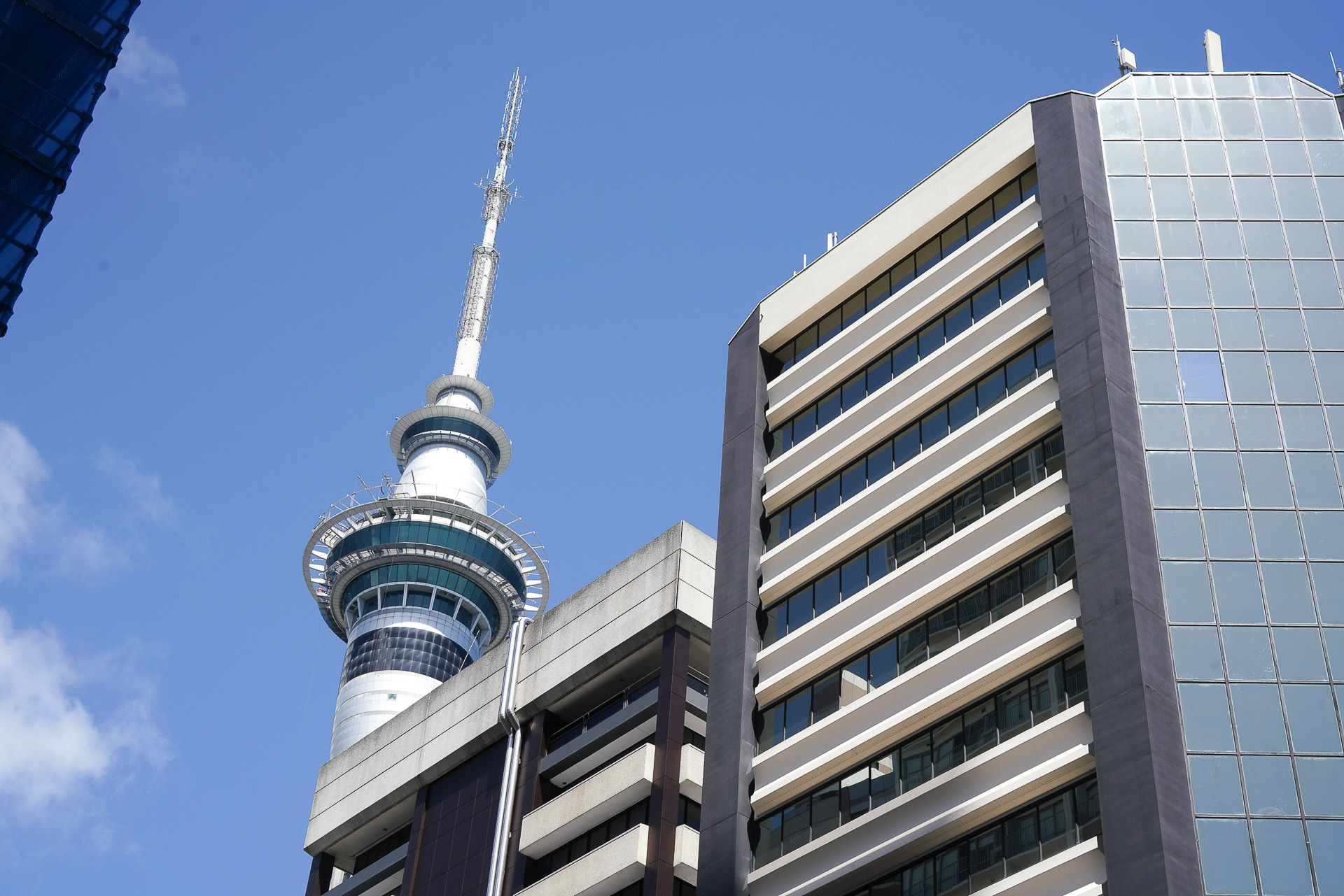 複合アトラクション「スカイシティ・オークランド」にある高さ328mのスカイタワーも見える