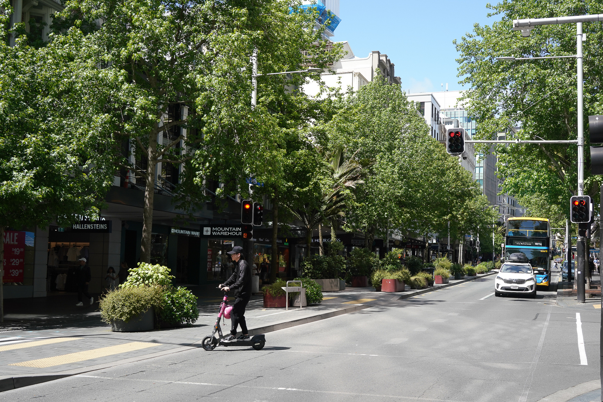 緑が生い茂る美しい街路樹のある「Queen」ストリート