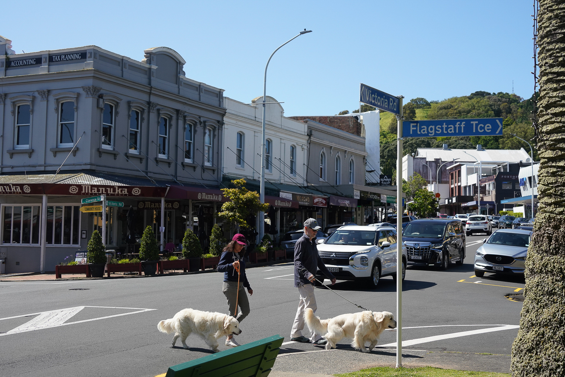 港の前には閑静なショップや住宅が並び、落ち着いた雰囲気。信号機もほとんどない