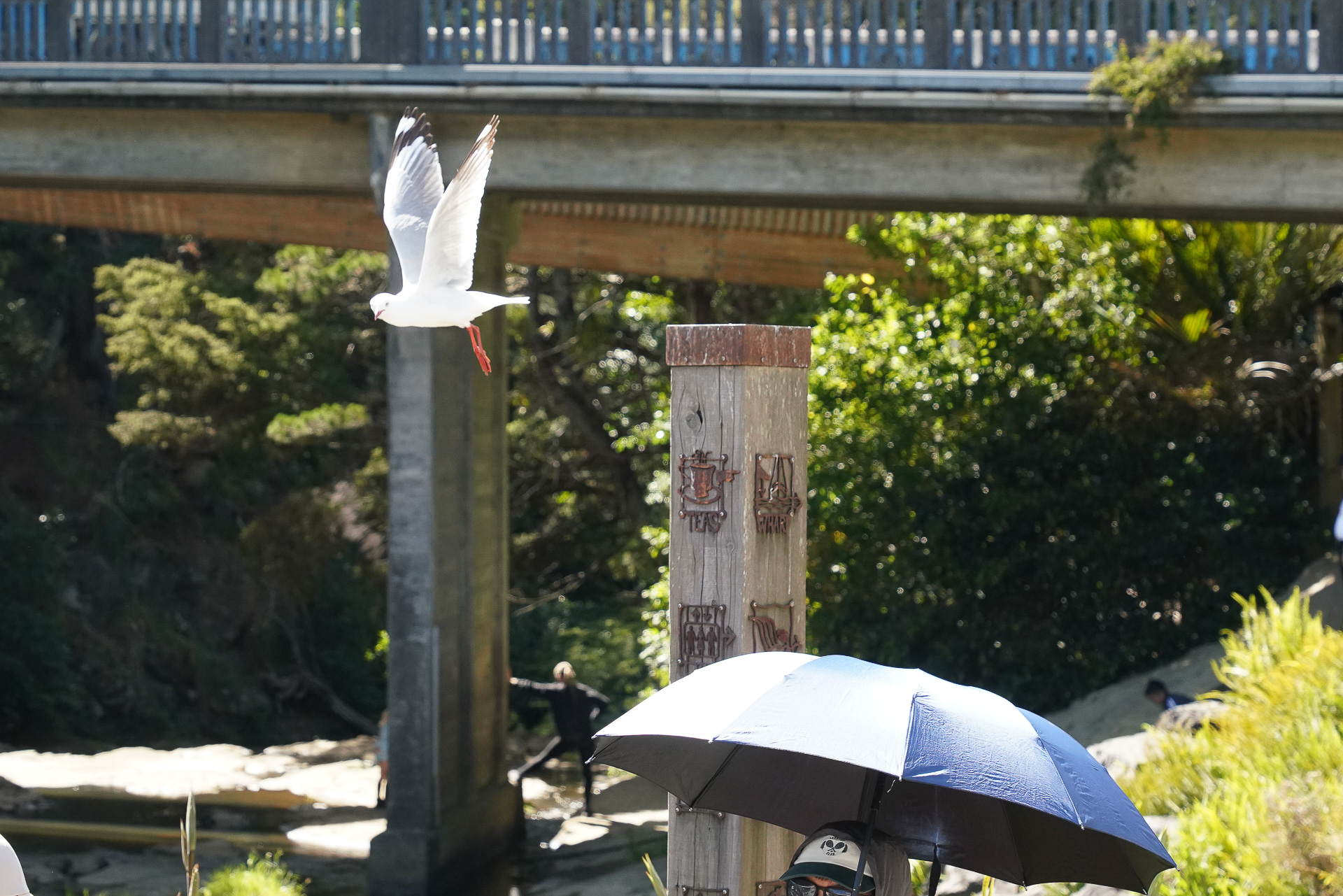 リアルな自然と触れあえて、とても気持ちがいい