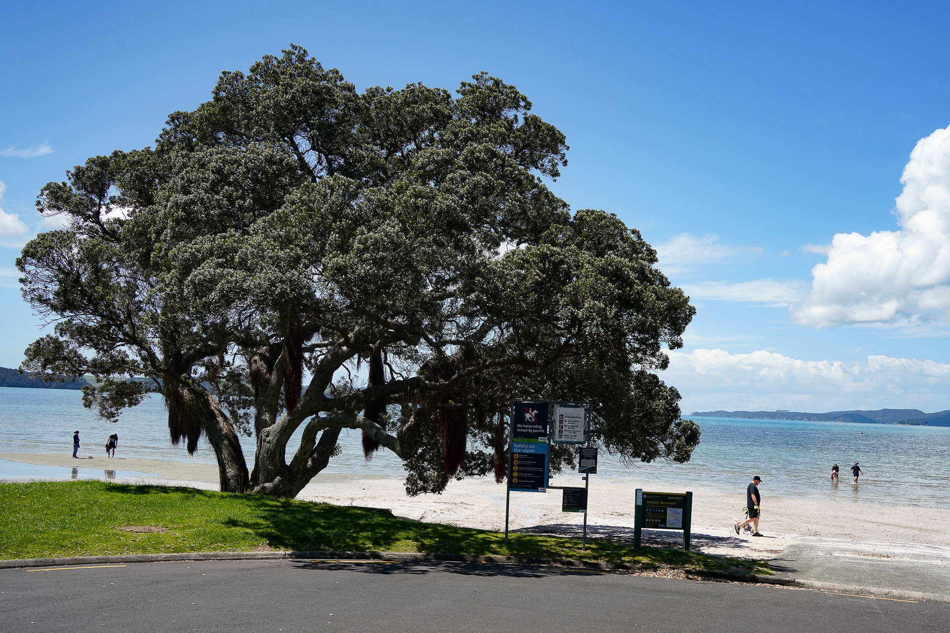 とってもキレイなビーチだ