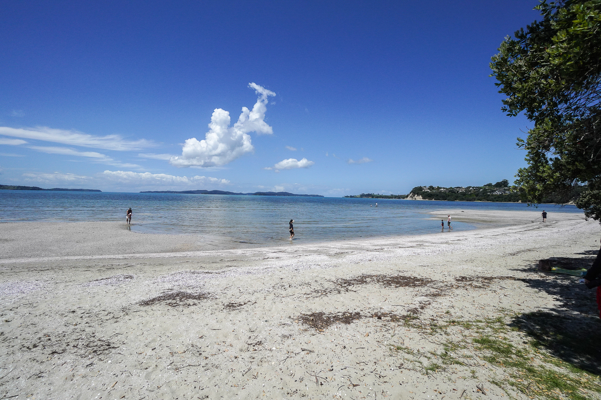 スネルズ・ビーチの全体