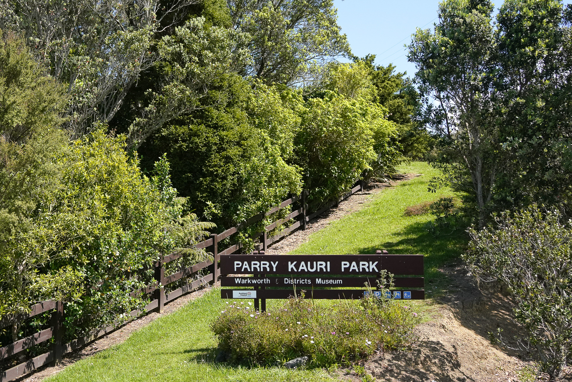 「パリー・カウリ・パークにやってきた