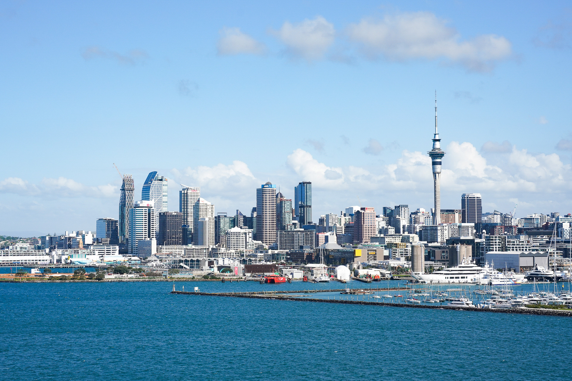 オークランドの市街地に戻ってきた