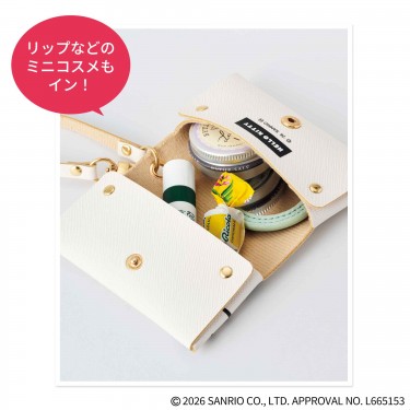 付録は“水色ハローキティ”のマルチケース。mini 5月号、予約注文