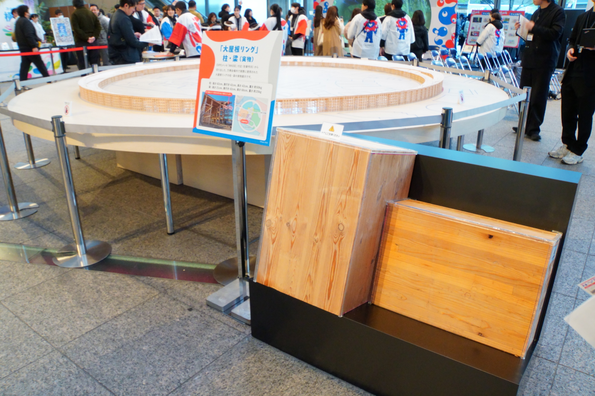 大屋根リング模型。実際に使用されていた木材の端材に触れることもできる