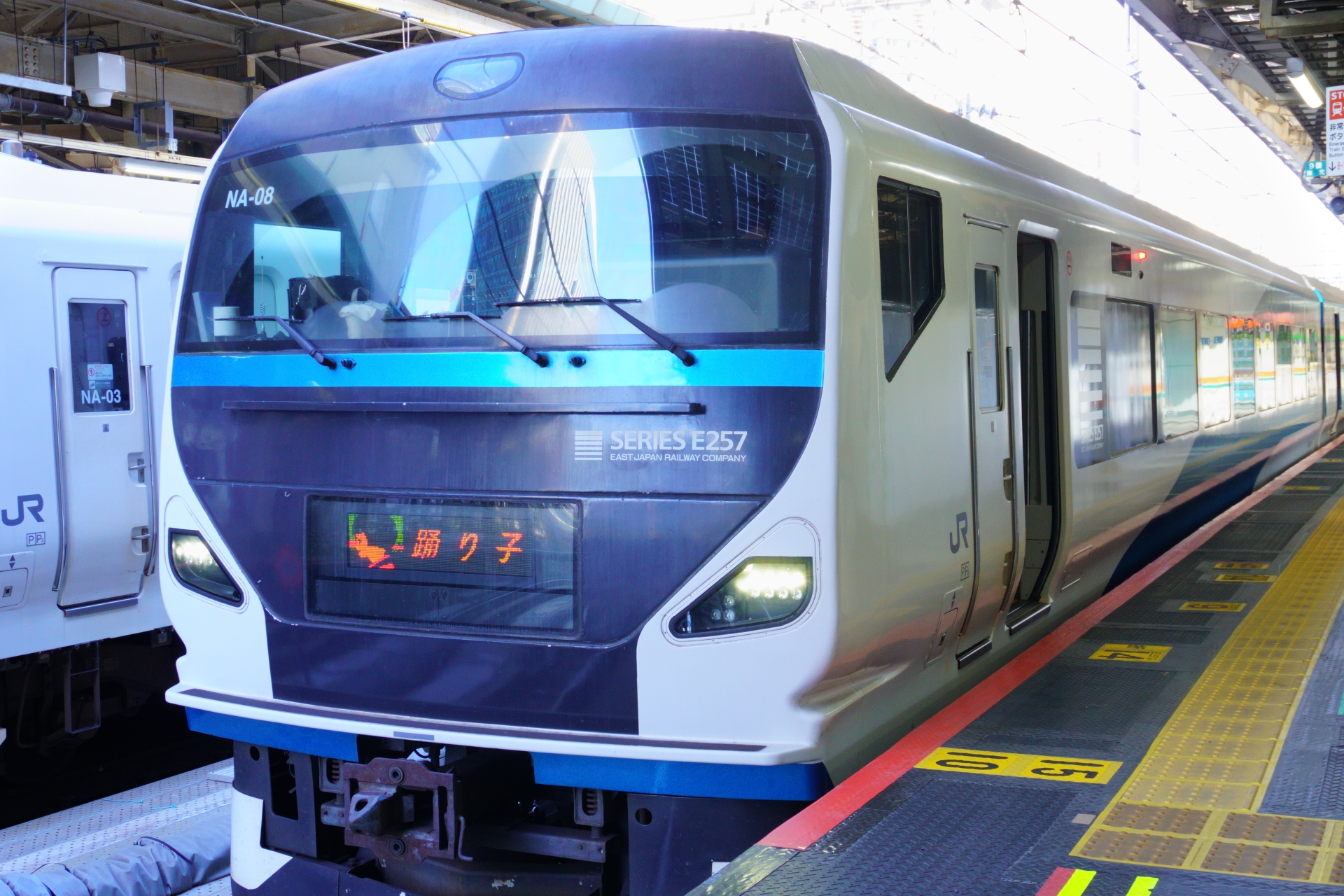 東京駅から伊豆高原駅までは特急「踊り子」に乗車。天気もよく、2月上旬だけどすっかり春気分