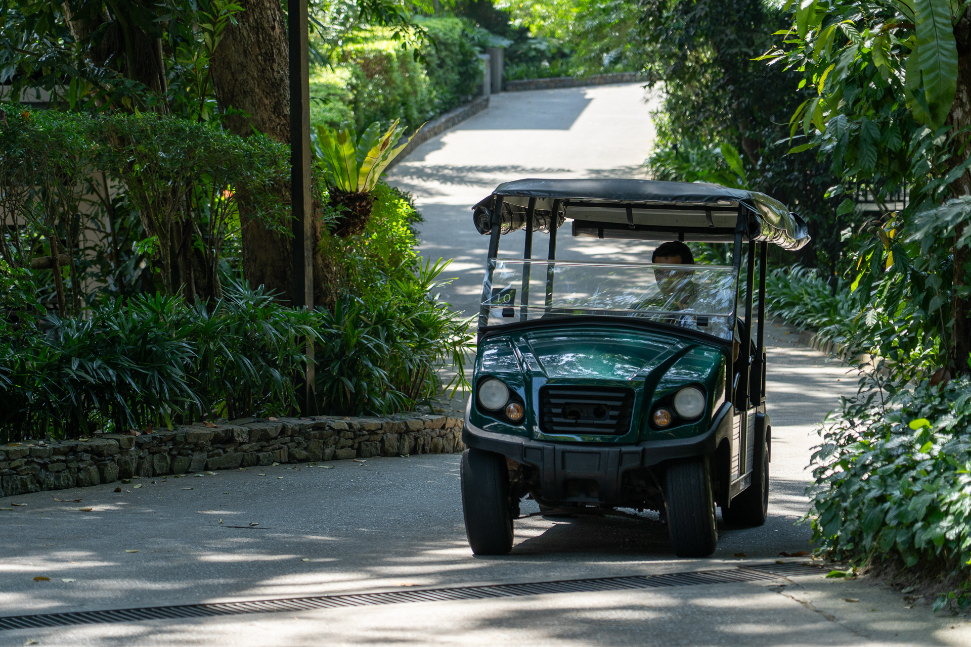 広い敷地内はホテルスタッフの運転による専用バギーで移動