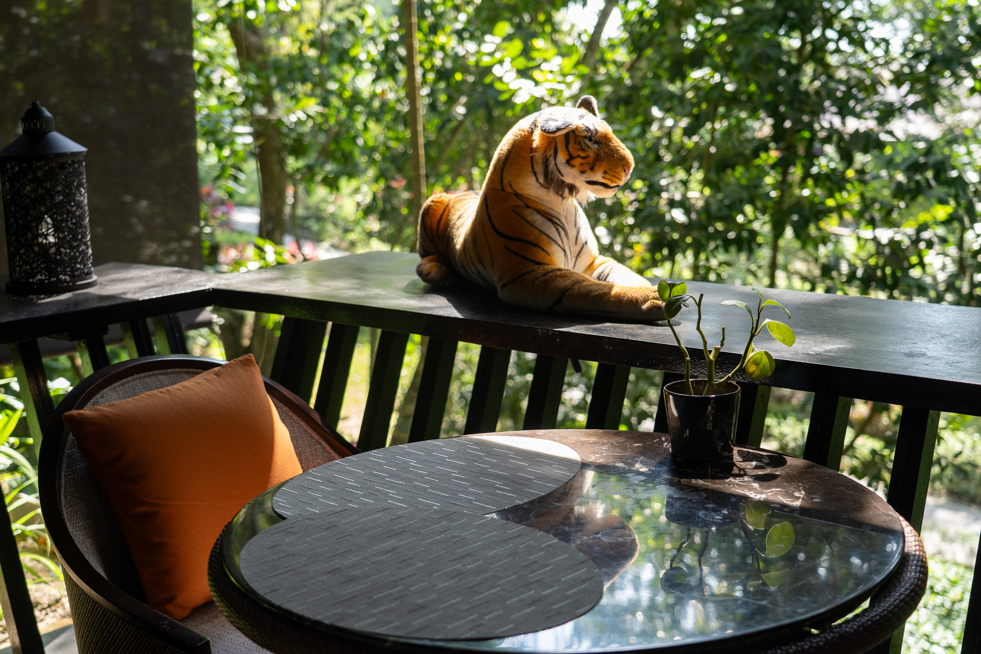 トラのぬいぐるみはサル除けなんですって