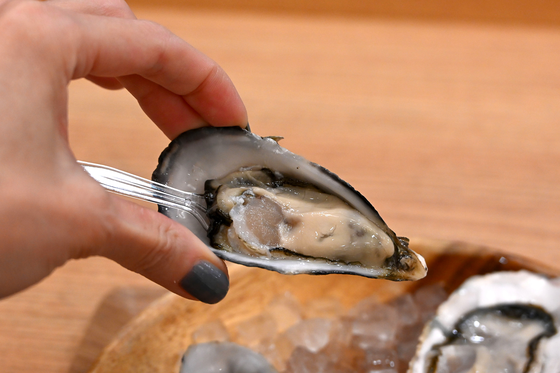 福山市 マルコ水産「惑香」（650円～）。むちぷるっな弾力とともに海水のほどよい塩みと甘さ。そしてあふれだす濃厚さがたまらない