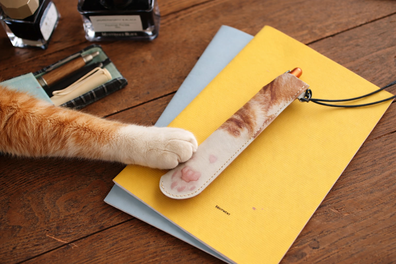 一般的なペンはもちろん、太めのペンやカッターナイフ、“ちゅーる”を収納することもできる