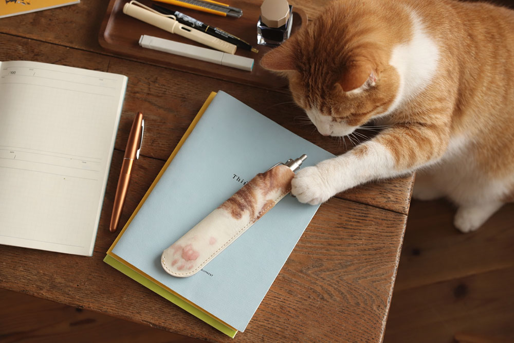 一般的なペンはもちろん、太めのペンやカッターナイフ、“ちゅーる”を収納することもできる