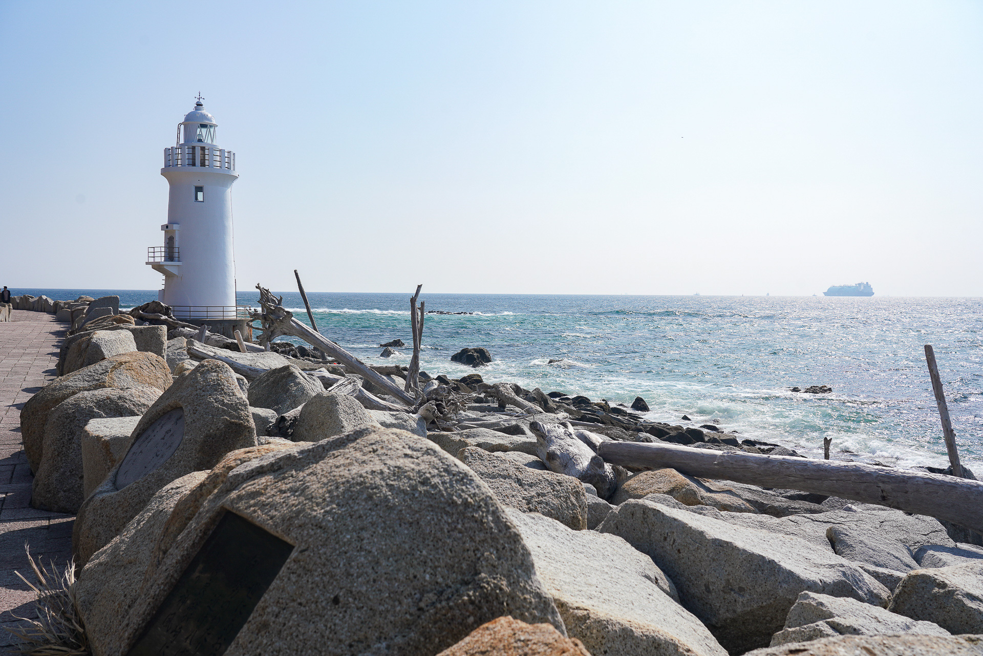 こうした流木が悪天候時の波のすごさを物語る
