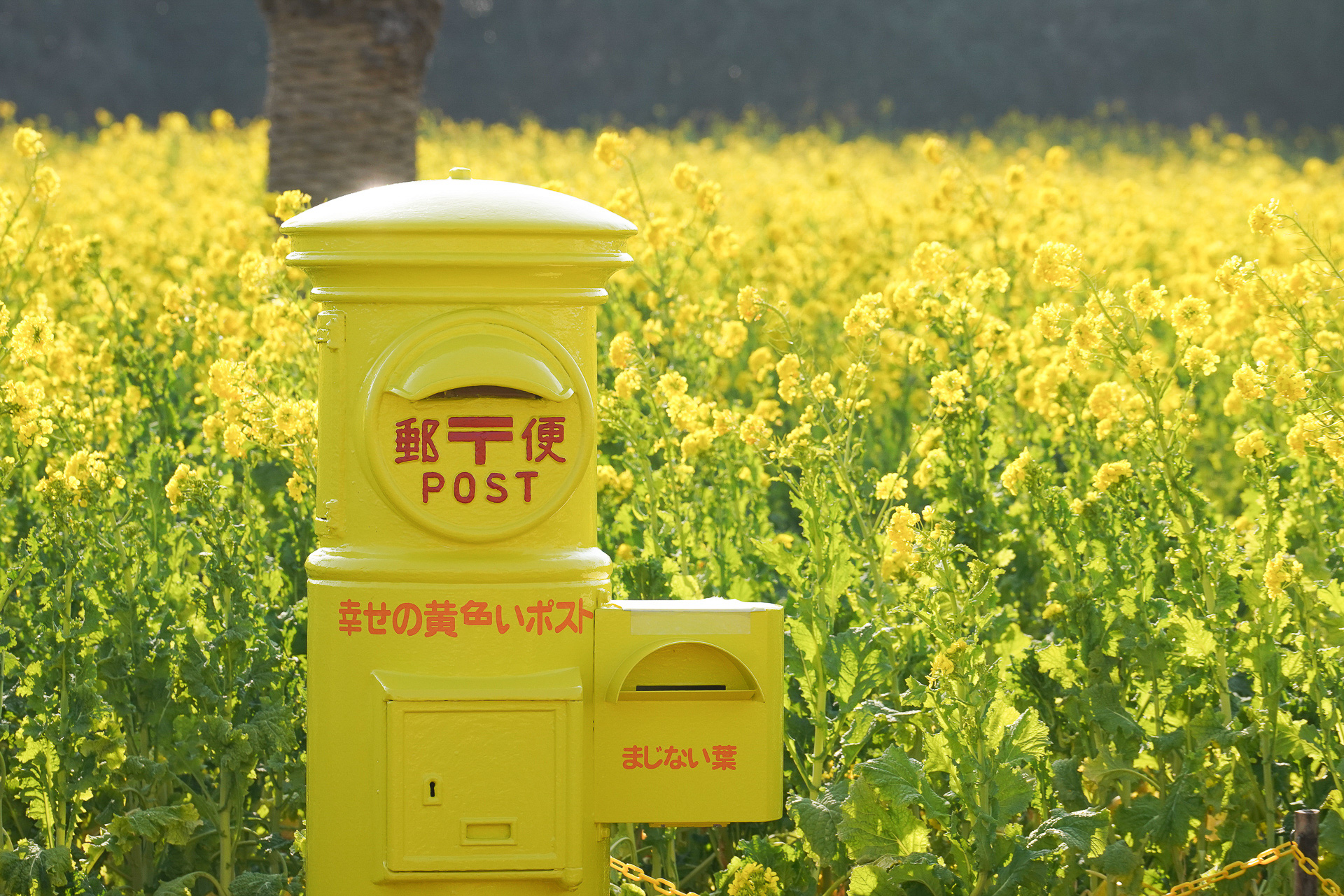 幸せの黄色いポスト