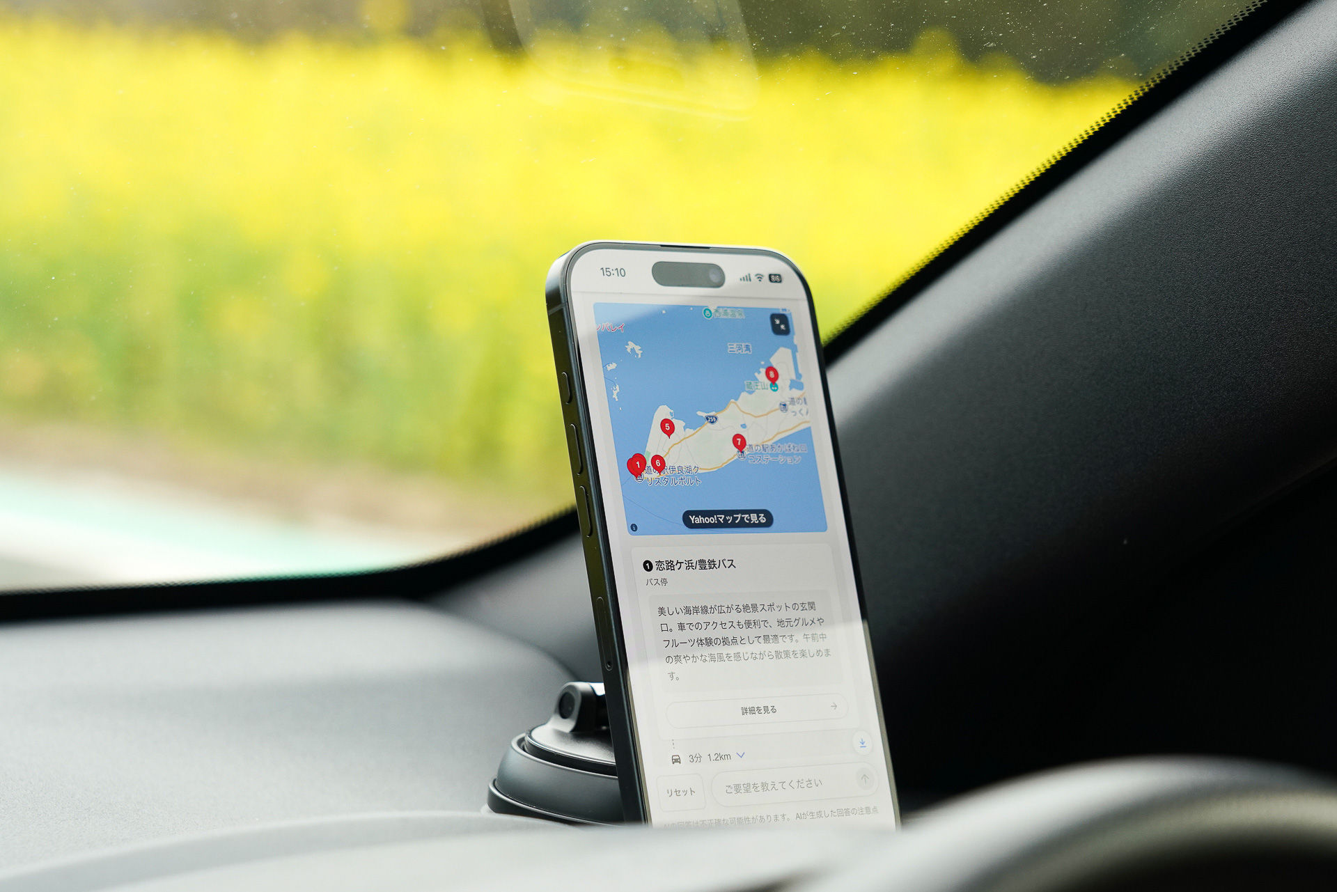 道路脇でたくさんの菜の花畑を見ることができた。渥美半島は春のドライブ旅行にもぴったり