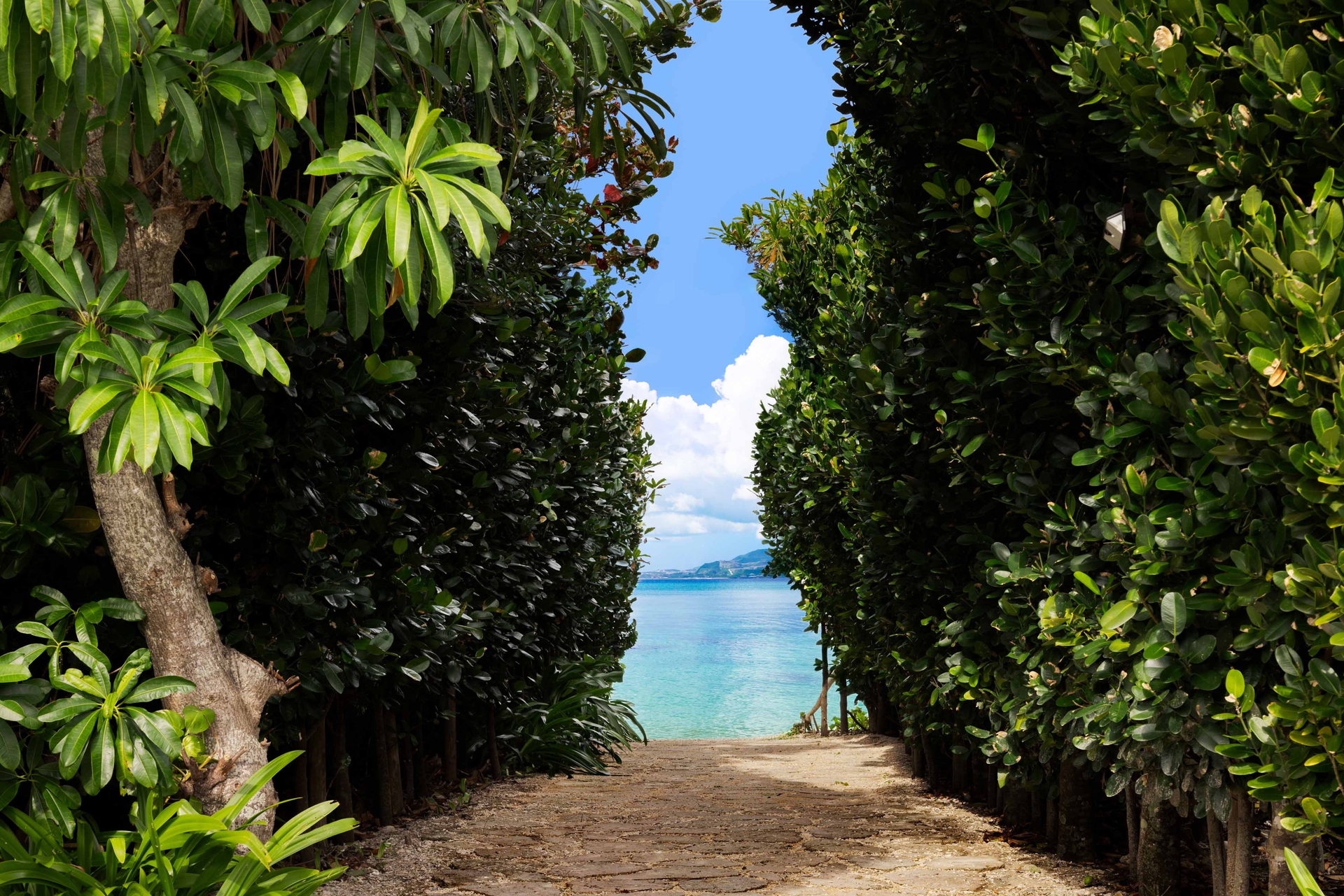 ホテル横の並木を抜けると喜瀬ビーチは目の前