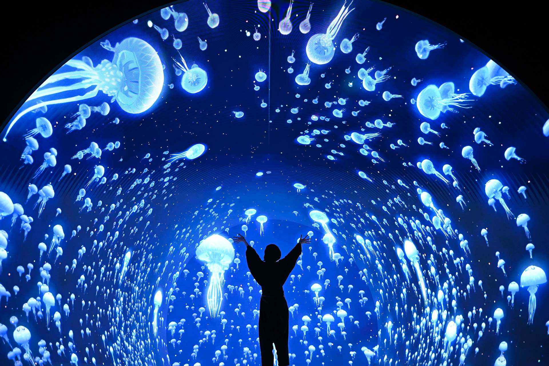 ゾーン2「ダイブ・トゥ・ブルー」（深海）