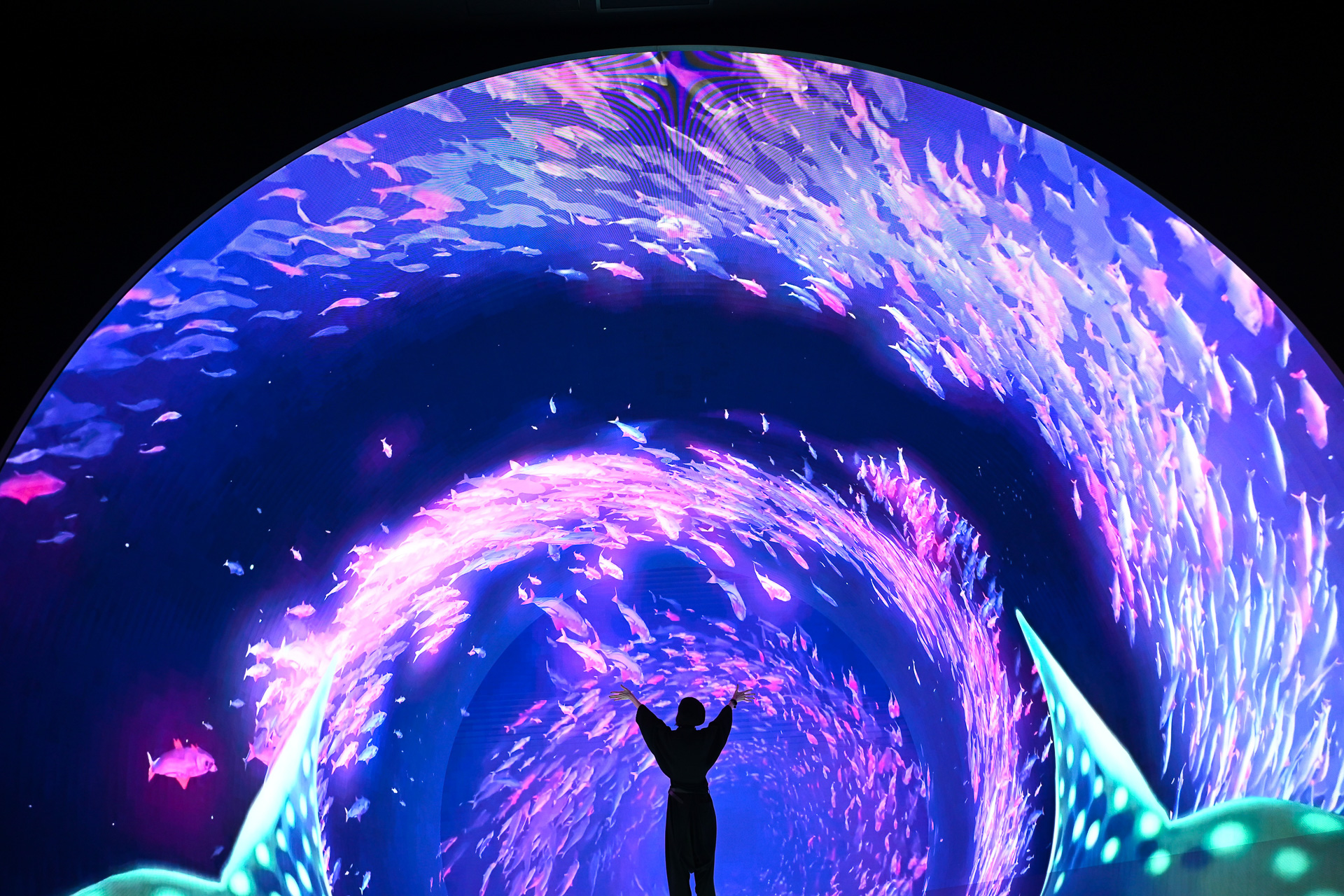 5×8×4m（幅×奥行き×高さ）、日本最大級のLEDイマーシブトンネル