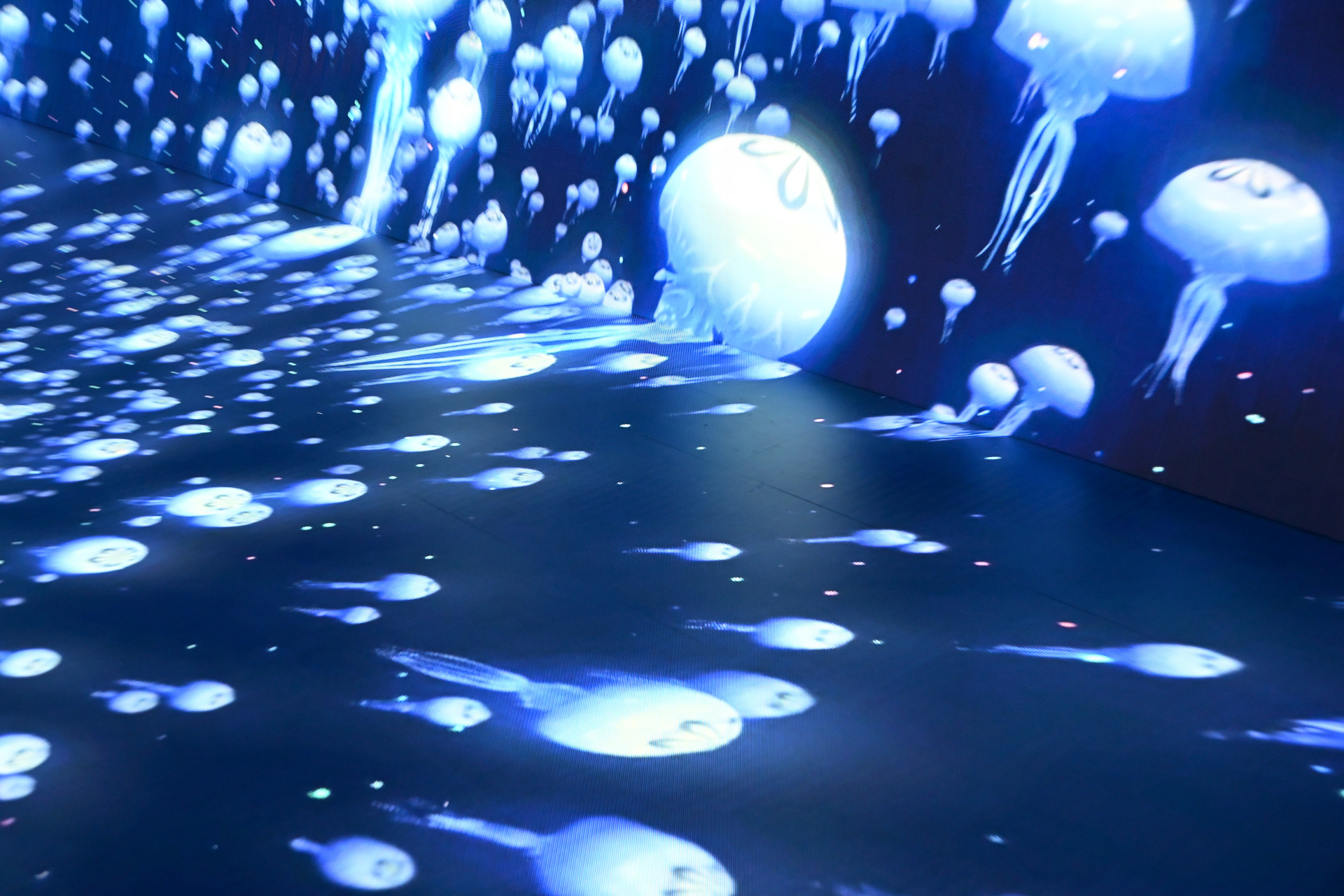 さまざまな生き物と出会える