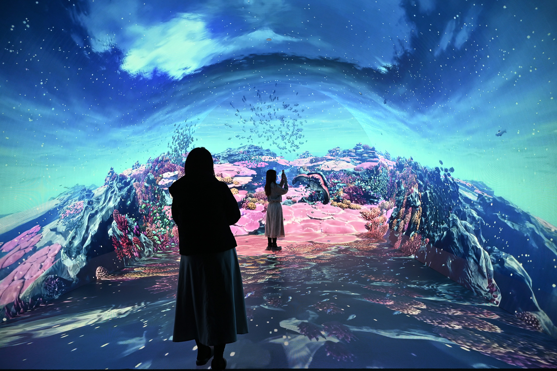 さまざまな生き物と出会える