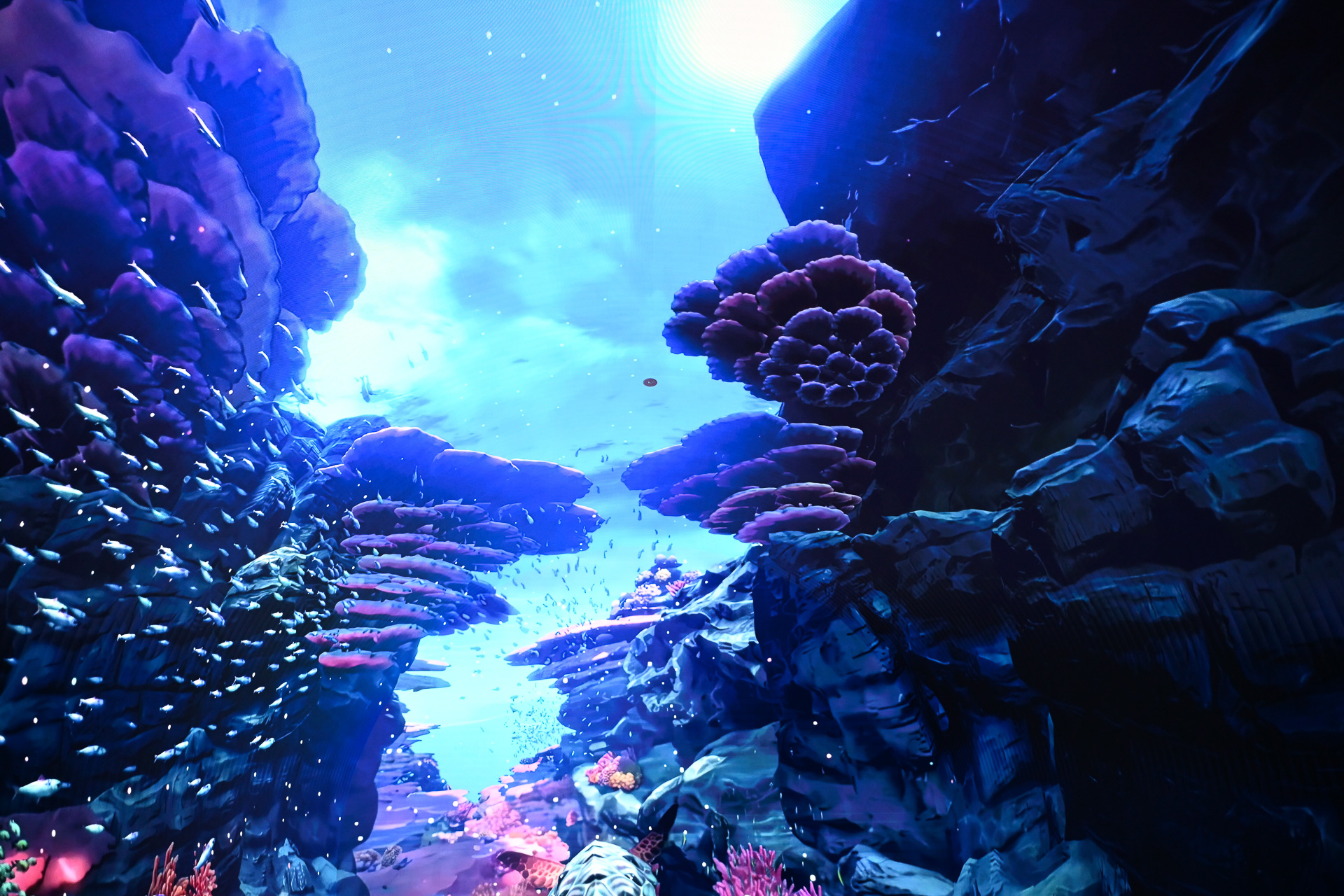 圧倒的な没入感にしばし酔いしれよう