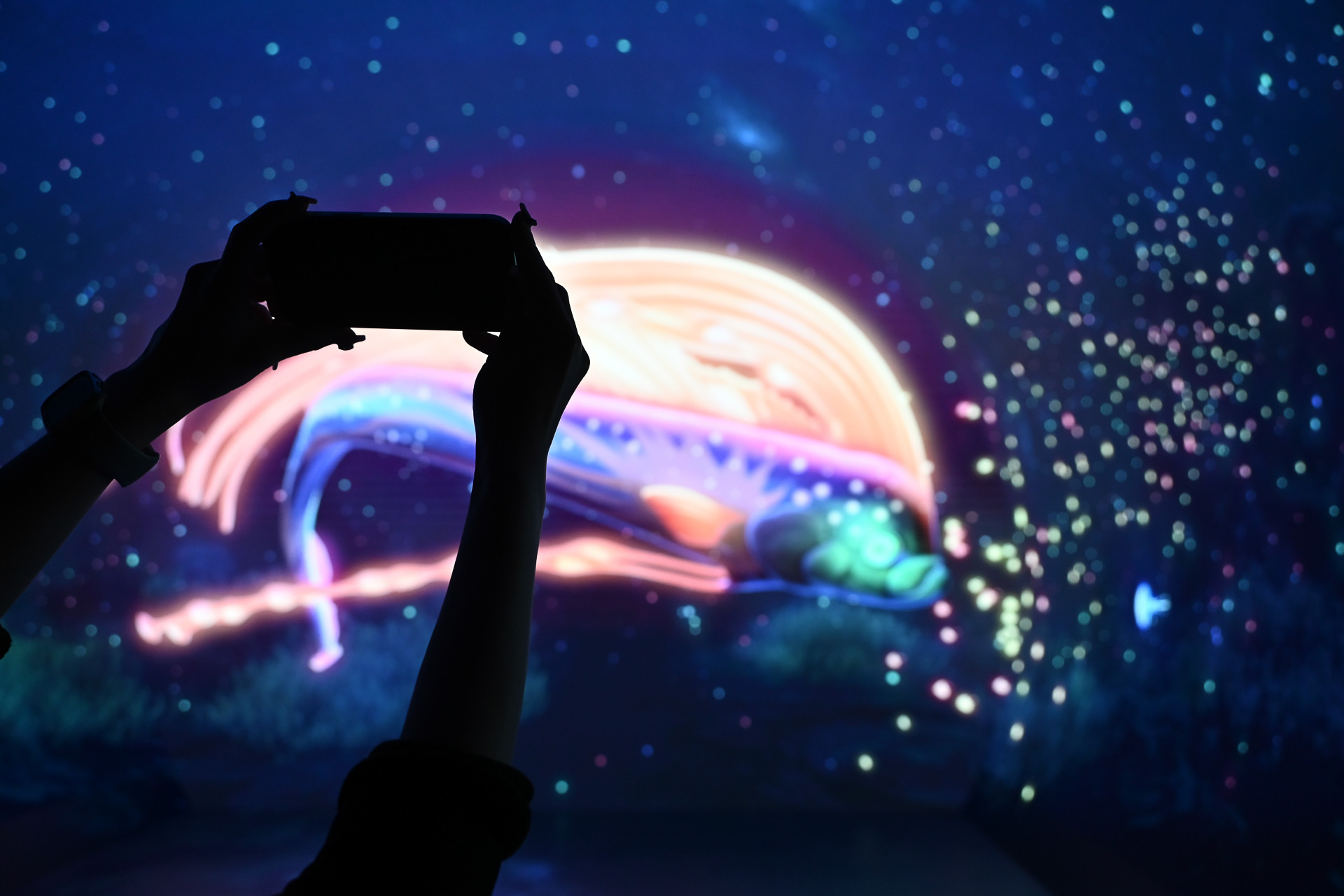 スマホ向けアプリ「ワンダリアアプリ」、3月に公開予定だ