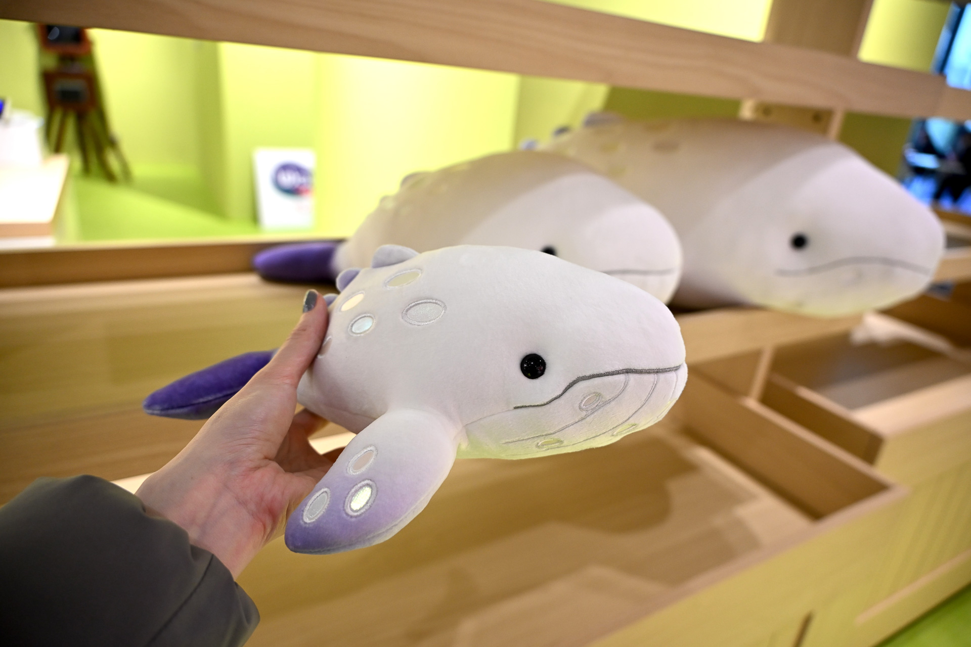 オリジナルのぬいぐるみが当たる