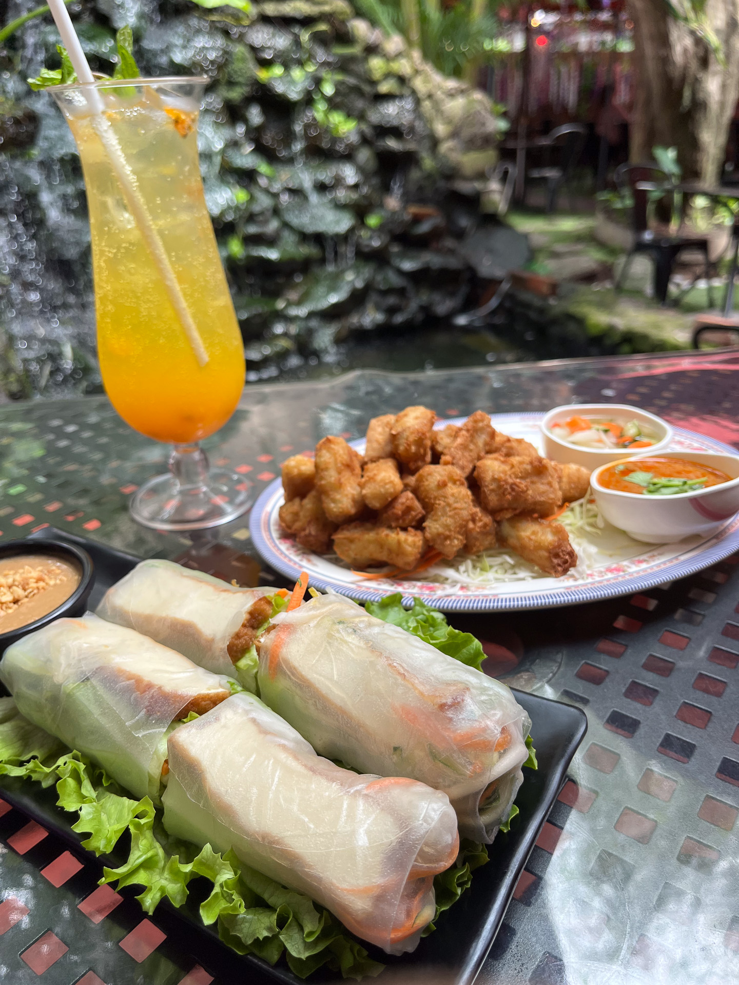 ヘルシーでボリュームのある豆腐生春巻き（14.95ドル）、豆腐サテ（17.95ドル）。どちらも自家製のピーナツソースに付けて