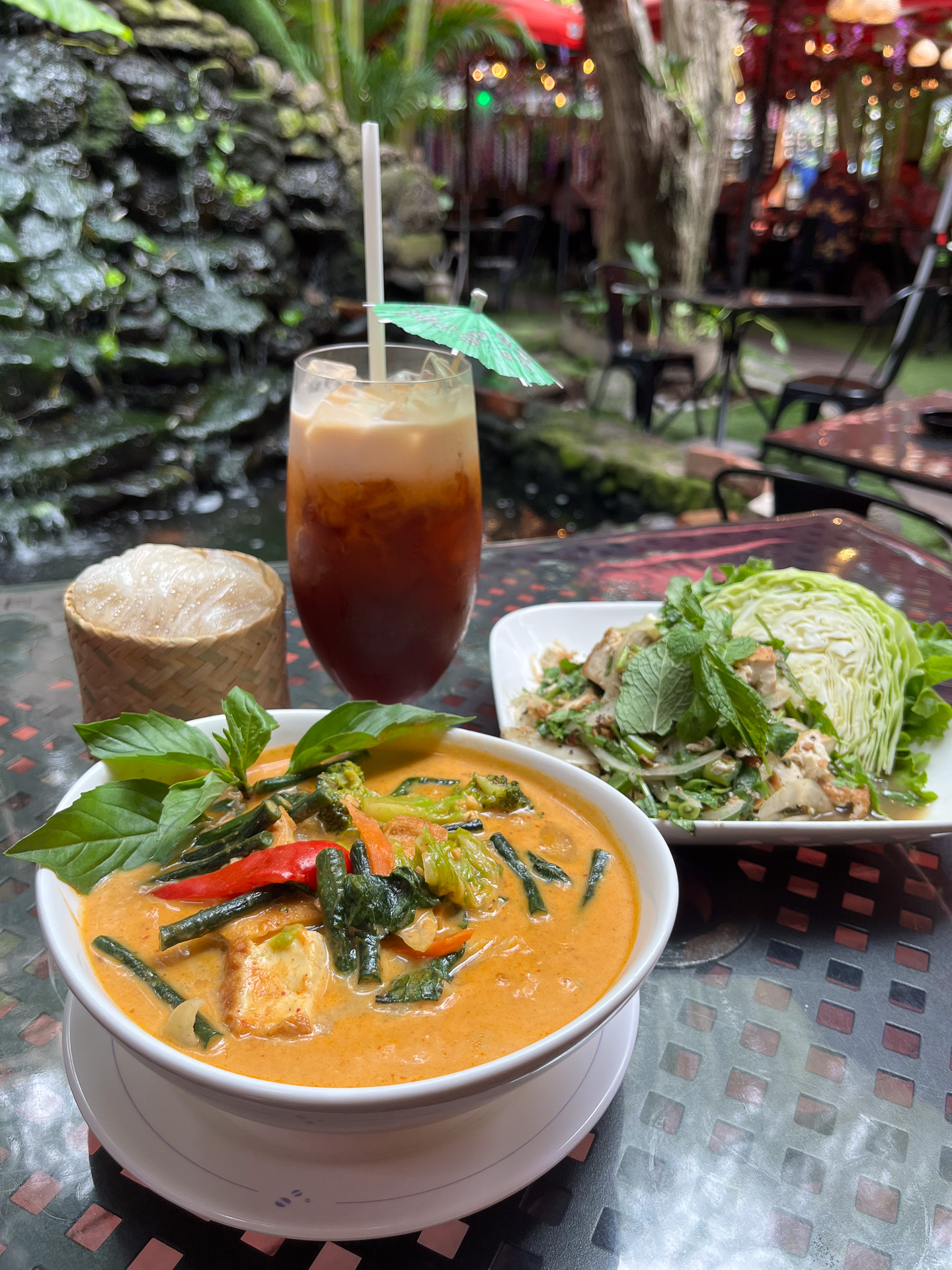 濃厚な旨味と香草のバランスが絶妙のパナンカレー（20.95ドル）、ラオスのサラダ、ラープ（$19.95）