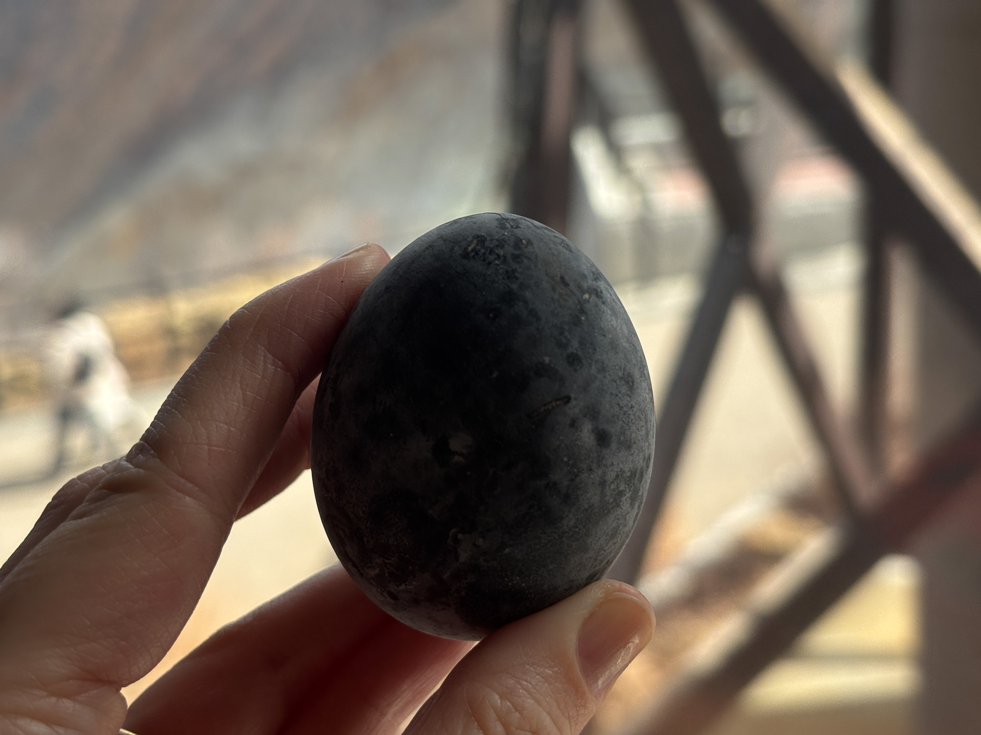 名物の黒たまご